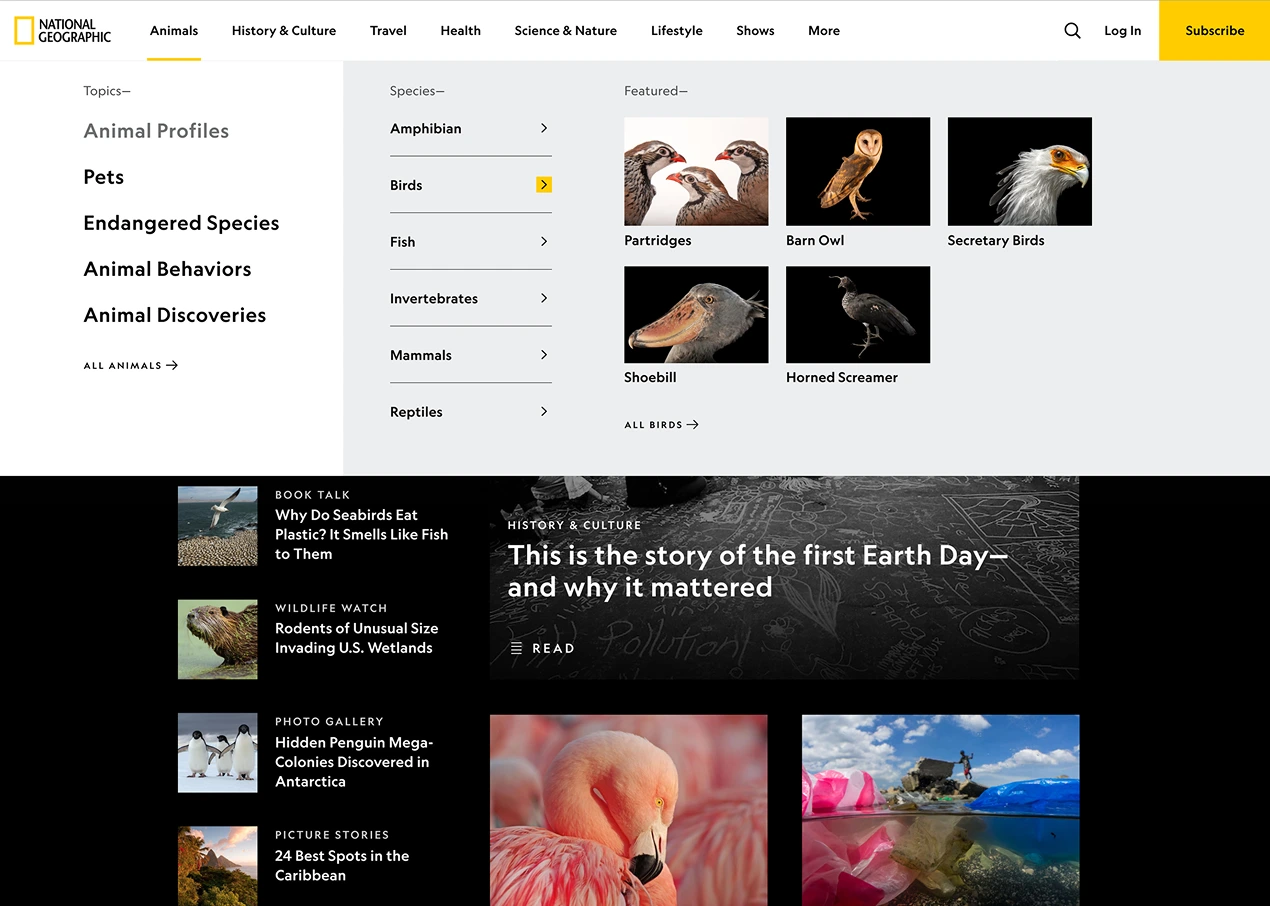 Post-MVP Animal Profiles