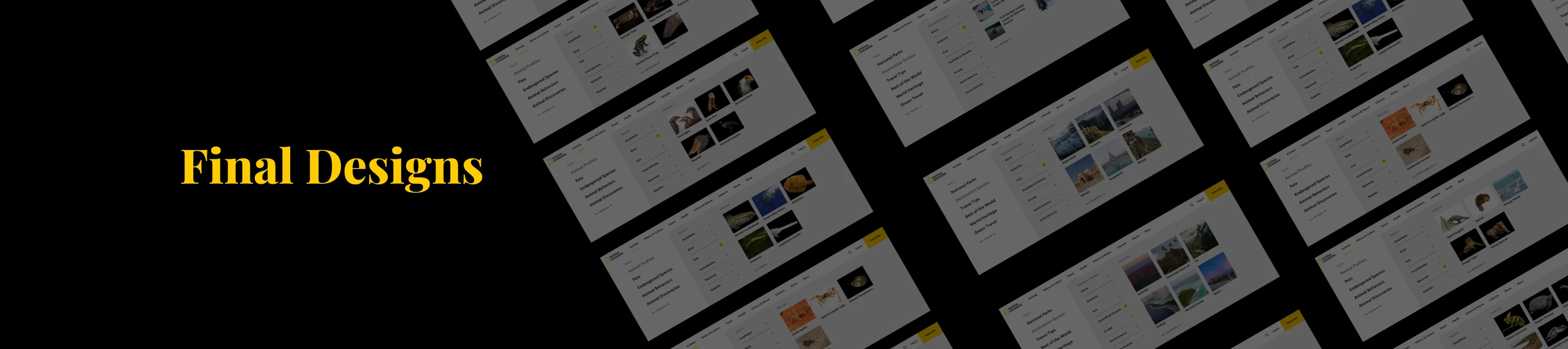 Nat Geo Navigation Redesign Final Design